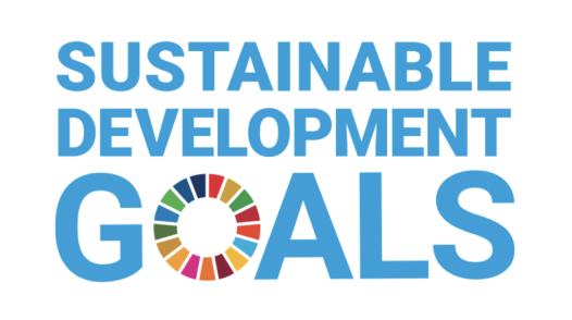 Our Approach to the SDGs