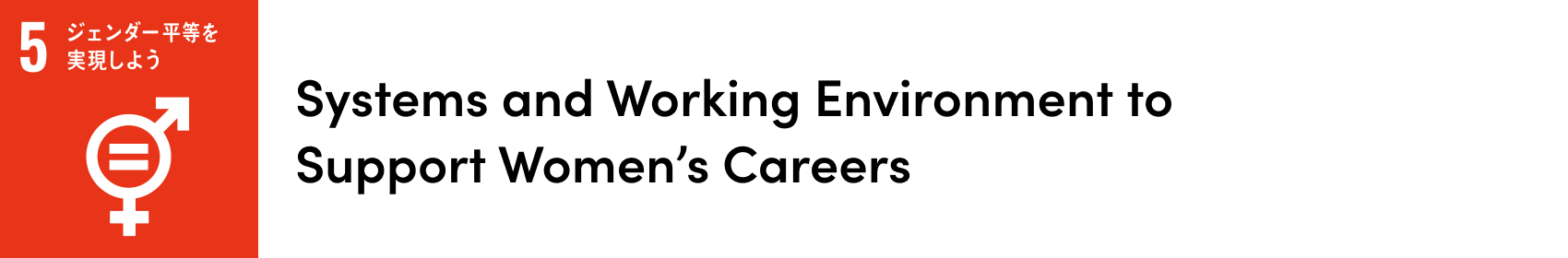 Systems and Working Environment to Support Women’s Careers
